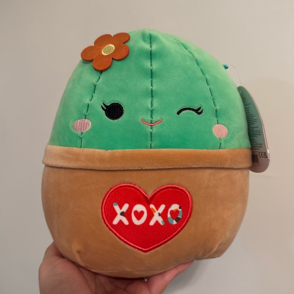Shadi the Cactus 8” Valentine’s Squishmallow 2023 - Picture 1 of 6